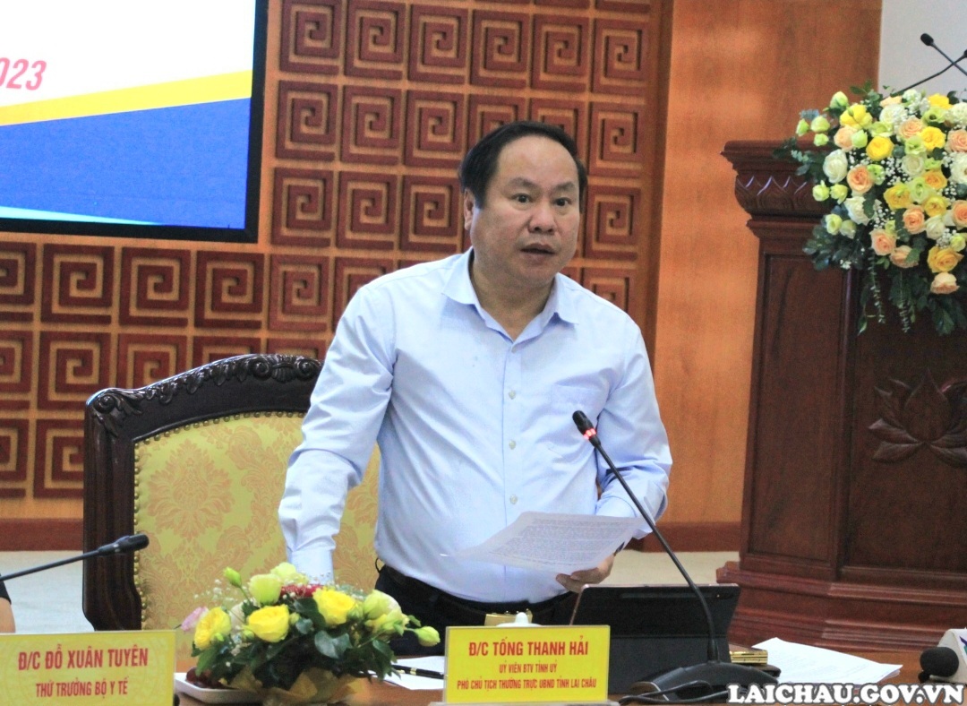 Đồng chí Tống Thanh Hải - Uỷ viên Ban Thường vụ Tỉnh ủy, Phó Chủ tịch Thường trực UBND tỉnh phát biểu tại buổi làm việc.